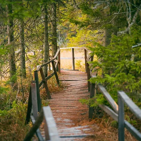 Апартаменты Peak Montana Копаоник