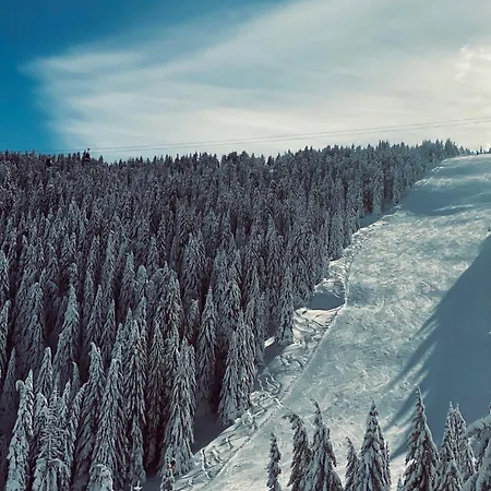 Peak Montana Apartman