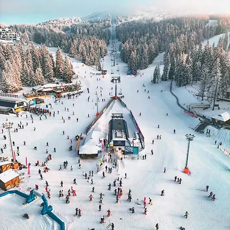 Peak Montana * Kopaonik