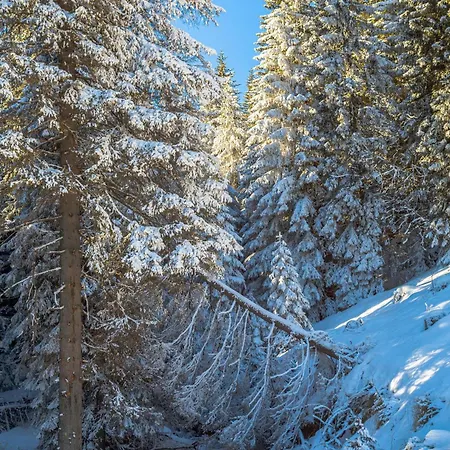 Peak Montana Kopaonik