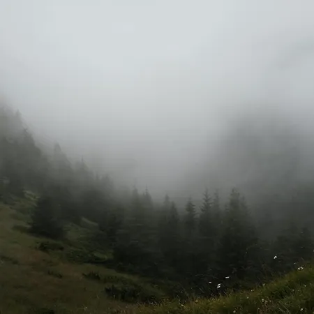 Peak Montana Apartman Kopaonik