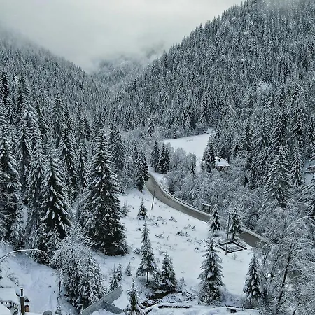 Peak Montana Копаоник